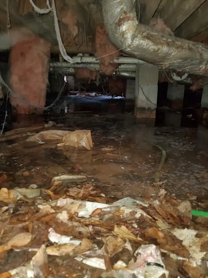 Crawl space flood assessment for Leak Detection & Repair in Evansville